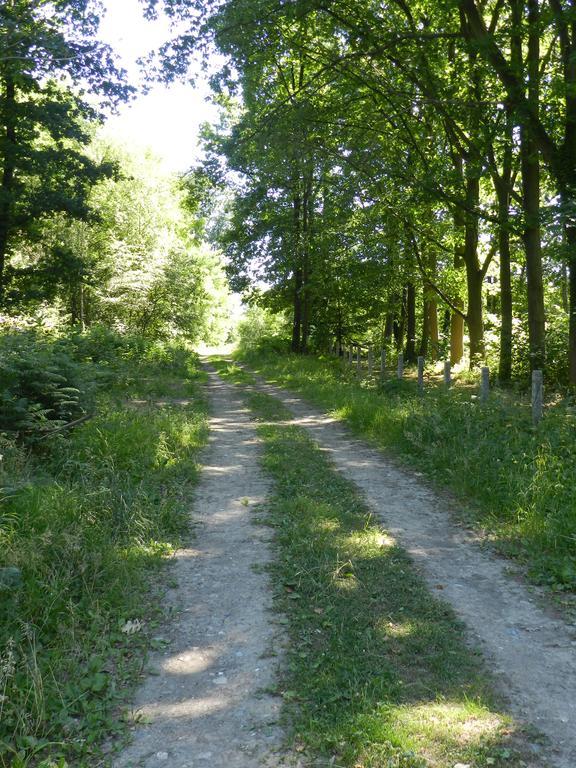 B&B Le Bois De Champia Huy Exterior foto